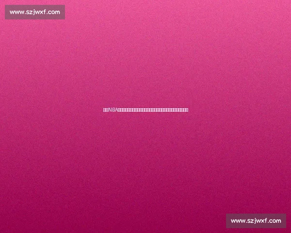 回顾NBA总决赛湖人对阵热火大比分走势与关键转折赛季巅峰对决全景解析